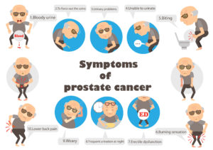 Prostate